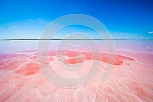 The salty shore in Kherson region, Ukraine. The water looks pink due to a special algae that grows in high levels of