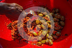 Salty sour and peppery Olive Pickle fruit are marinated for snack recipe street food in Bangladesh. Olive pickles or Olive Achar