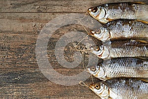 Salty stockfish on wooden table