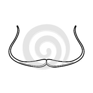Salvador Dali Style Moustache Vector photo