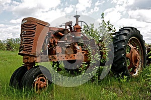 Salvaged tractor in the bushes photo