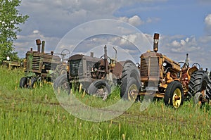 Salvaged tractors line up in junkyard