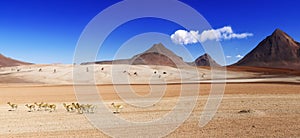 Salvator Dali desert Bolivia photo