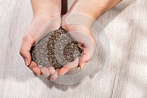 Salvia hispÃÂ¡nica - Hands holding chia seeds photo