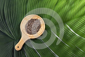 Salvia hispÃÂ¡nica - Organic and healthy chia seeds photo