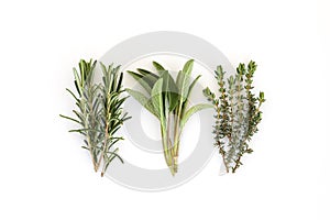 Salvia officinalis, rosemary , thyme. Bunch of garden herbs isolated on white background. Copy space