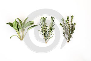 Salvia officinalis, rosemary , thyme. Bunch of garden herbs isolated on white background. Copy space