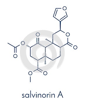 Salvinorin A entheogen molecule. Psychotropic molecule from Salvia divinorum. Skeletal formula. photo