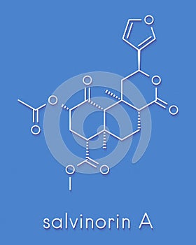 Salvinorin A entheogen molecule. Psychotropic molecule from Salvia divinorum. Skeletal formula. photo