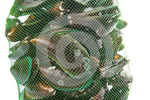 Salwater Mussel In A Net Sack IV