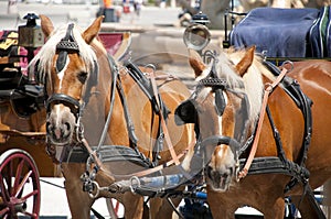 Salzburg