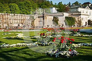 Salzburg Mirabellgarten, beautiful day, red tulips in the afternoon