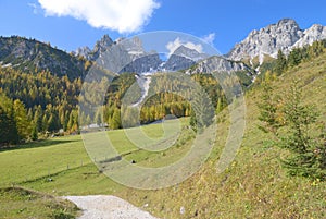 Salzburger Land,Filzmoos,Alps,Austria