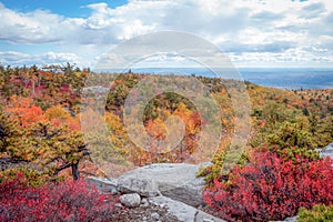 Sam's Point Preserve in Shawangunk Mountains, New York State, in spectacular peak autumn foliage