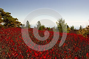 Sam's Point Preserve