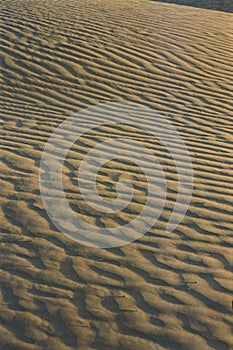 Sam sand dunes, Jaisalmer, Rajasthan, India