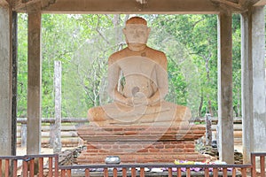 The Samadhi Buddha