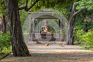 The Samadhi Statue is a statue situated at Mahamevnawa Park in Anuradhapura, Sri Lanka. photo