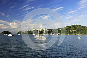 Samana bay, Dominican Republic photo