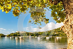 Samana Bay framed by a tropical tree photo