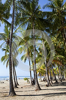 Samara beach, Costa Rica