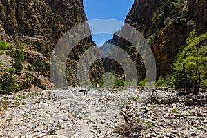 Samaria Gorge.