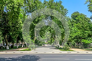 Samarkand University Boulevard Park 05