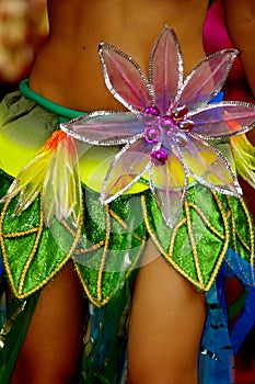 Samba dancer dress
