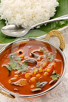 Sambar and rice, south indian cuisine photo