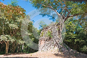 Sambor Prei Kuk in Kampong Thom, Cambodia. It is part of the Temple Zone of Sambor Prei Kuk