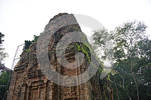 Sambor Prei Kuk Temples in Cambodia