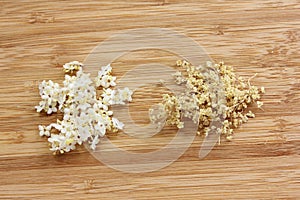 Sambucus nigra, elderberry flower on wood