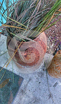 Same Copper pot of dried landscaping on patio Tampa Florida