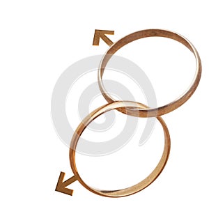 Same sex marriage, men, concept. Two wedding rings isolated on w