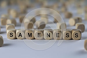 SAMENESS - image with words associated with the topic COMMUNITY OF VALUES, word, image, illustration