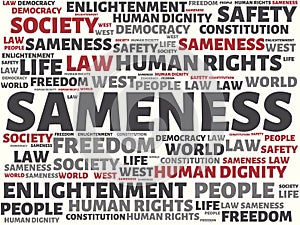 SAMENESS - image with words associated with the topic COMMUNITY OF VALUES, word, image, illustration photo