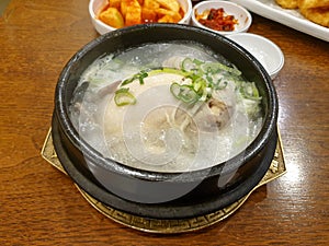 Samgye-tang, or ginseng chicken soup. Korean traditional soup for body health.