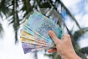 Samoan Tala currency - right hand holding bank notes from Western Samoa with palm trees in background photo