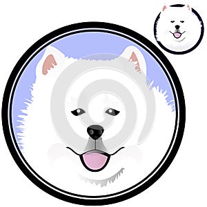 Samoed dog head in circle