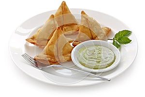 Samosa with mint chutney