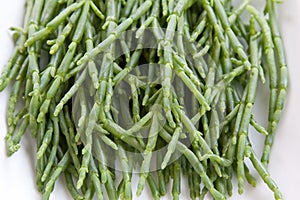 Samphire photo