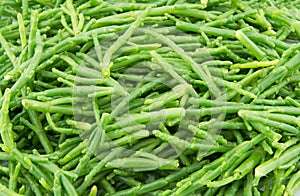 Samphire