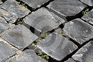 Sampietrini stone pavel road in rome