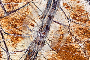 Sample of marble