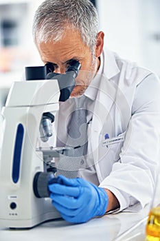 Sample, mature man and microscope in lab for discovery, medical research and test for forensics. Male person, analyze photo