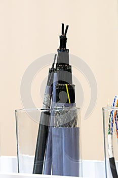 Sample of multi-core cable with protected wires