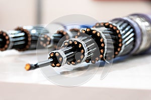 Sample of multi-core cable with protected wires