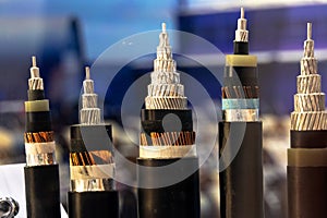 Sample of multi-core cable with protected wires