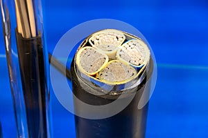 Sample of multi-core cable with protected wires