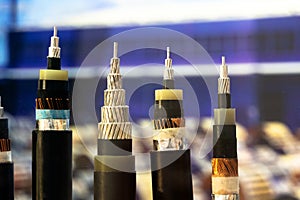 Sample of multi-core cable with protected wires